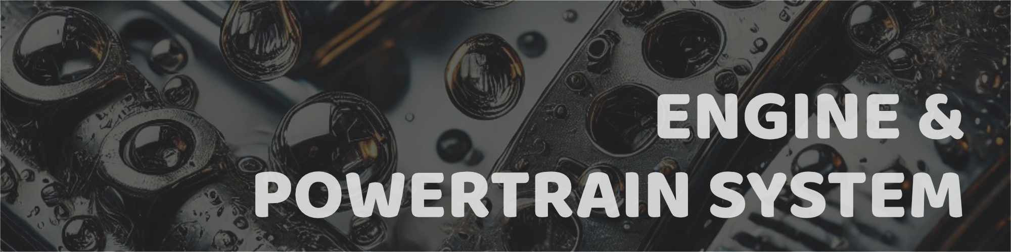 Engine & Powertrain System